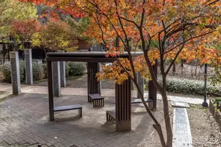 판교공원