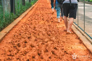 서대문 안산(안산자락길)