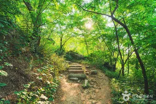 서대문 안산(안산자락길)