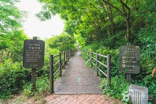 서대문 안산(안산자락길)