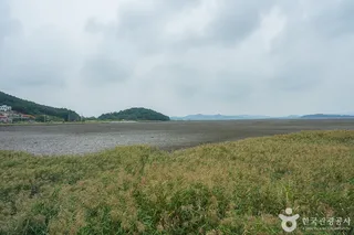 동검도