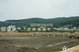 동검도
