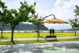 칠곡보 생태공원
