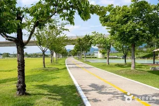 칠곡보 생태공원