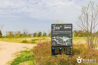 계양꽃마루