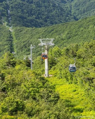 발왕산 관광케이블카
