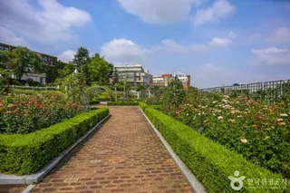 조선대학교 장미원