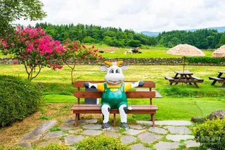 아침미소목장