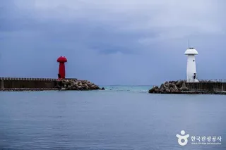 물치항