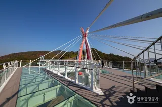 설리스카이워크