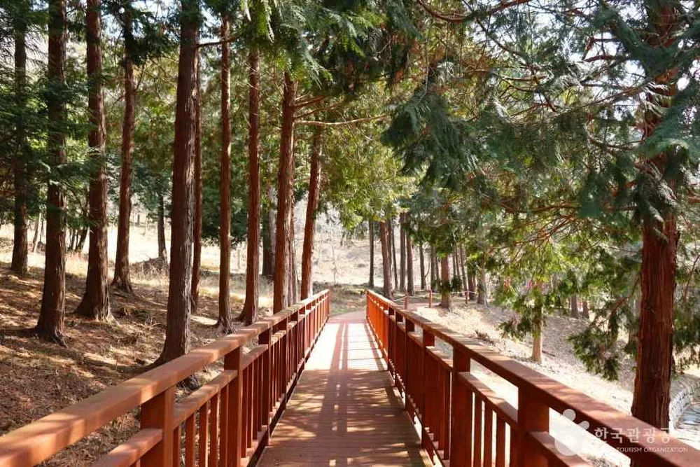 운림산림욕장