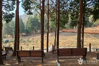 운림산림욕장