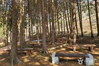 운림산림욕장