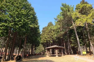 운림산림욕장