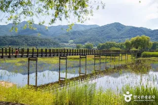 한반도섬