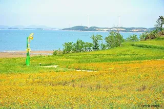 선도
