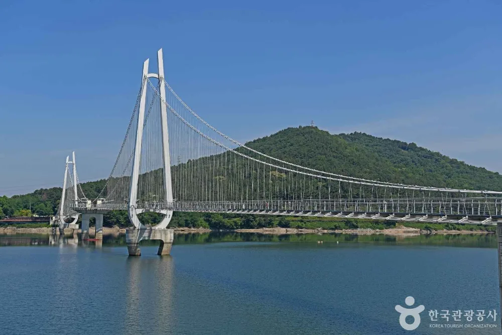 논산 탑정호 출렁다리
