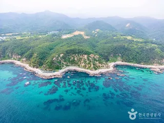 헌화로