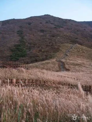 간월재