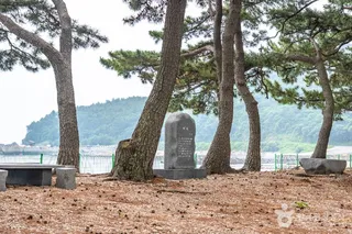 금장해수욕장
