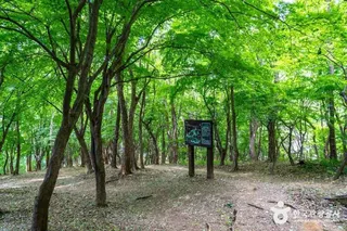 건지산
