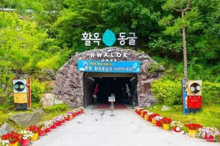충주 활옥동굴