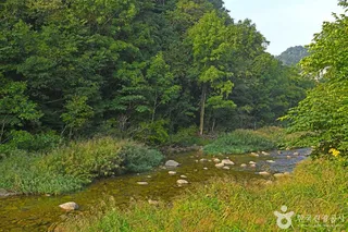 연가리계곡