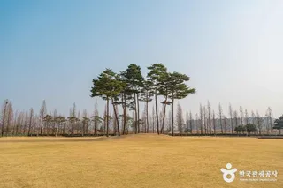 수성패밀리파크