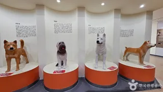 진도개테마파크