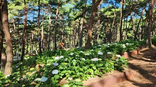 지리산정원