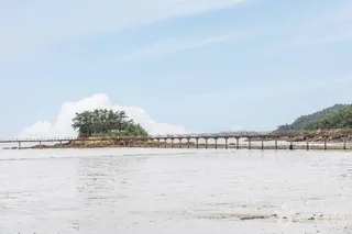 둔장해변