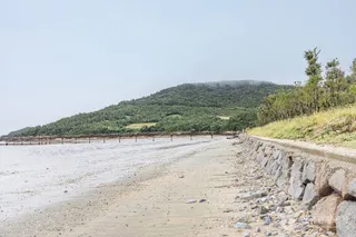 둔장해변