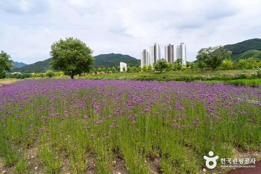 황룡강 생태공원