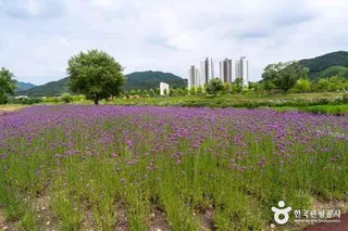 황룡강 생태공원
