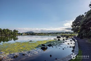 오조포구