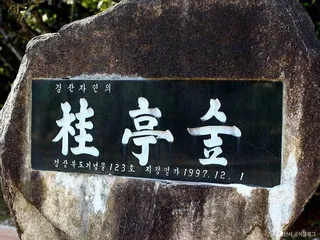 자인계정숲(경산 자인의계정숲)