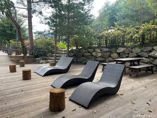 삼척 활기 치유의 숲