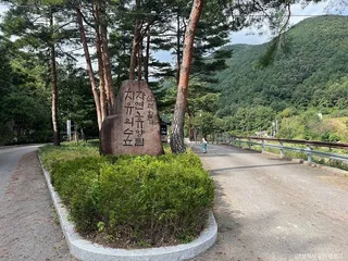 삼척 활기 치유의 숲