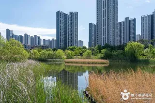 세병호