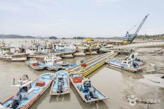 송도항
