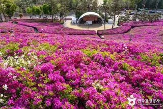 철쭉동산