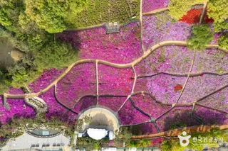 철쭉동산