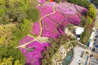 철쭉동산