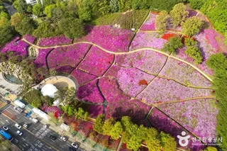 철쭉동산