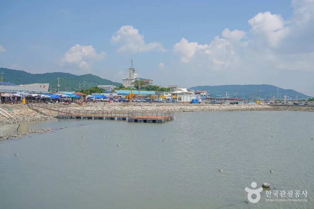 설도항
