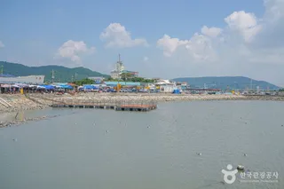 설도항