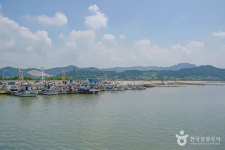 설도항