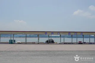설도항