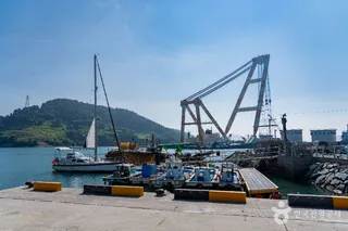 독정항