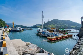 독정항